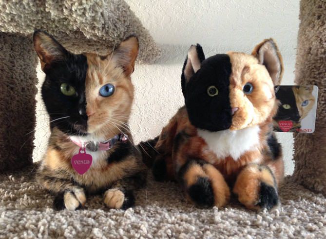 Ona va ogil hammomda jinsiy aloqada