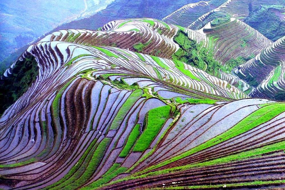 Qizil pantiesdagi xotinining uy qurilishi porno videosi