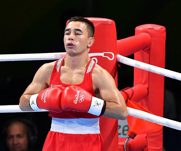 Animatsion jinsiy rohiba