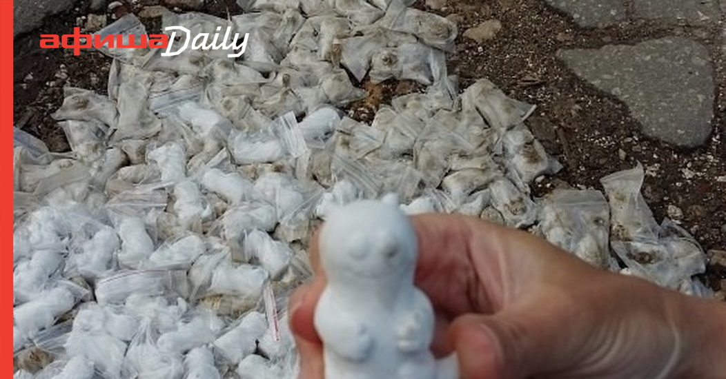 Chiroyli eshak video