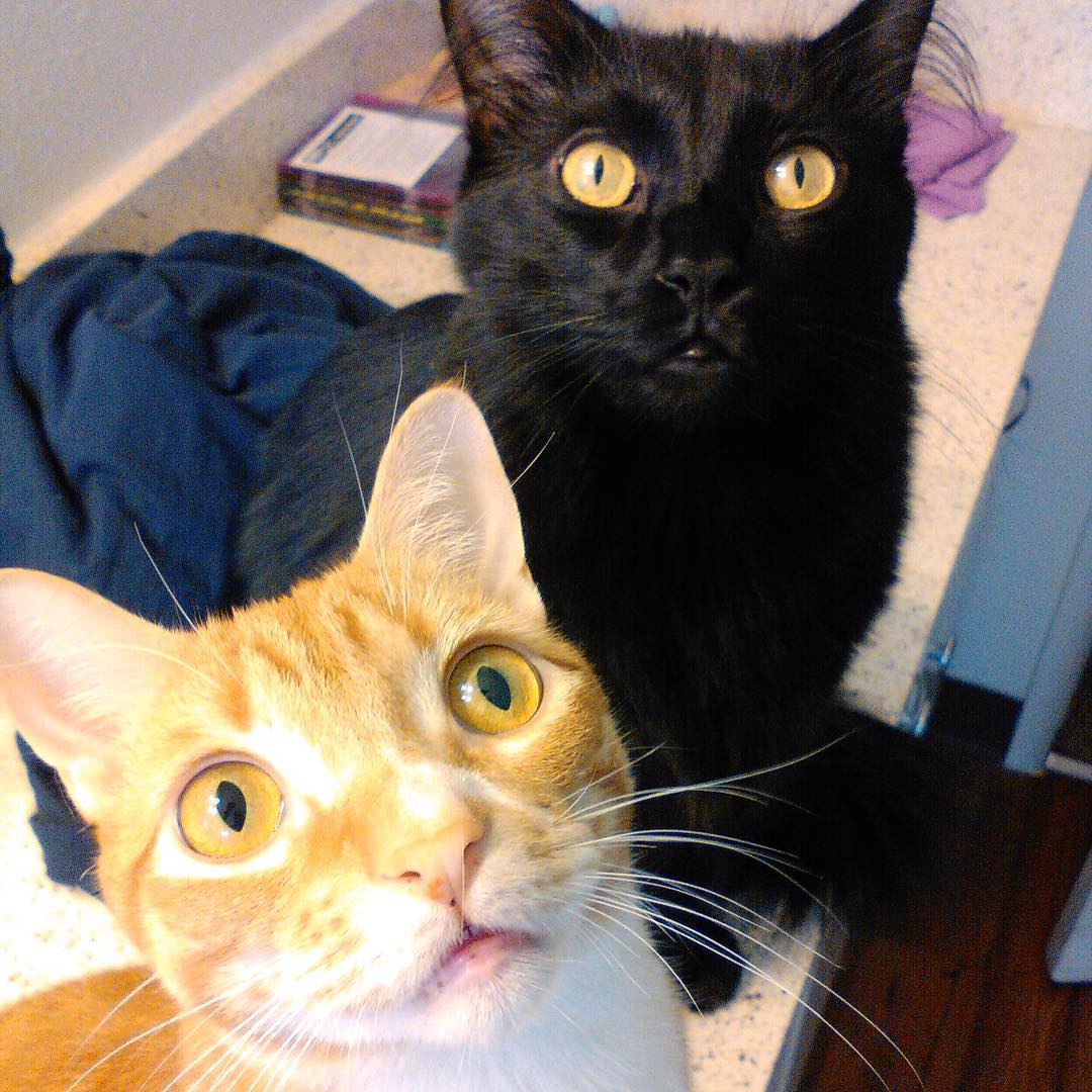 Uchrashuvda porno video