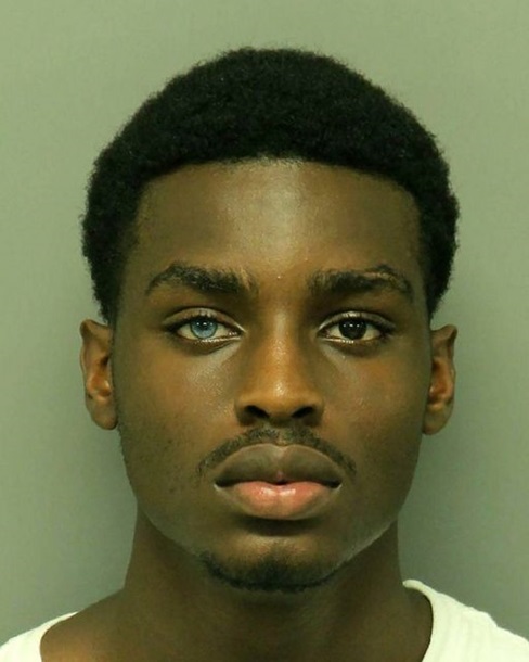 Yalangoch Vanilla video