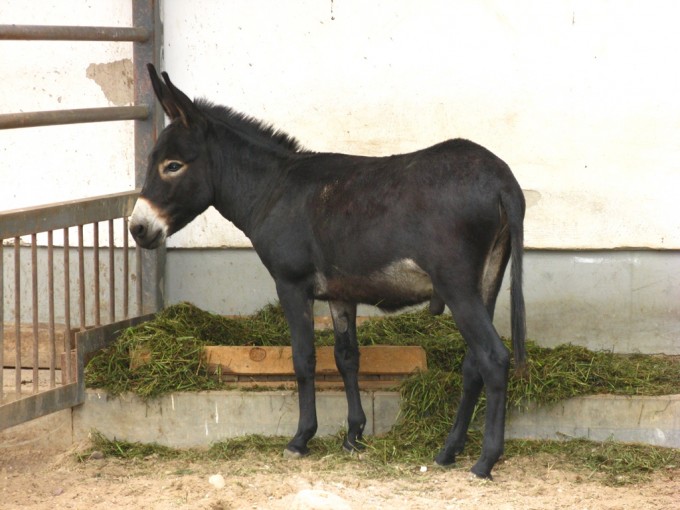 Plyajdagi yashirin kamerali hojatxona Yetuk va yosh ayollar bilan yashirin kamera porno