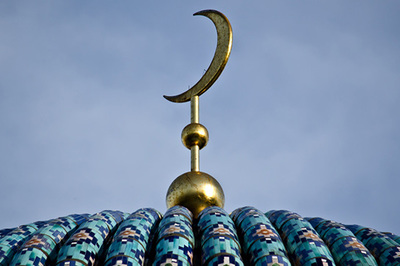 Woody Woodpecker va Vinni Puh pornosi