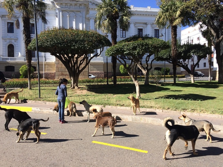 Tolovsiz porno filmlarni tomosha qiling