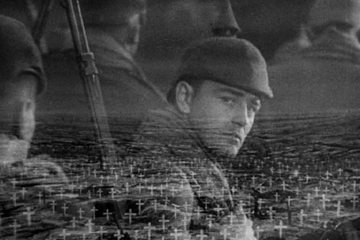 Kumming xorozlarning fotosuratlari