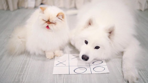 Nima uchun ayollar mushtlashni yaxshi koradilar?