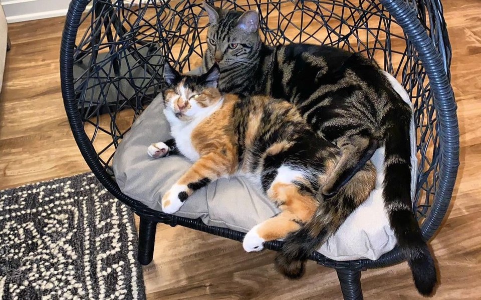 Xotin oral seks porno U erkalanib ketyapti va u hech narsa qilmayapti.