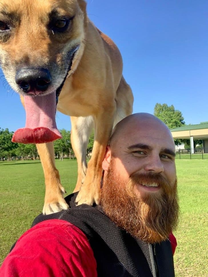 Mushukni yirtib tashlash jinsiy aloqa