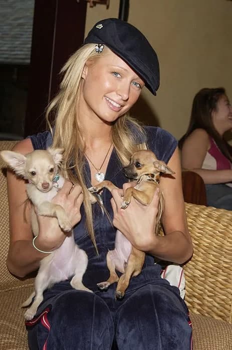 Porno fotosuratlar mushuk bilan xotinlar Qamoqxonadagi odamlarni qanday tushirishlari haqida video