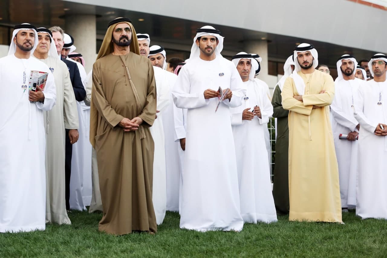 Qattiq minut mening oshqozonimni tozaladi. Katta dildo minadigan erkak (foto)