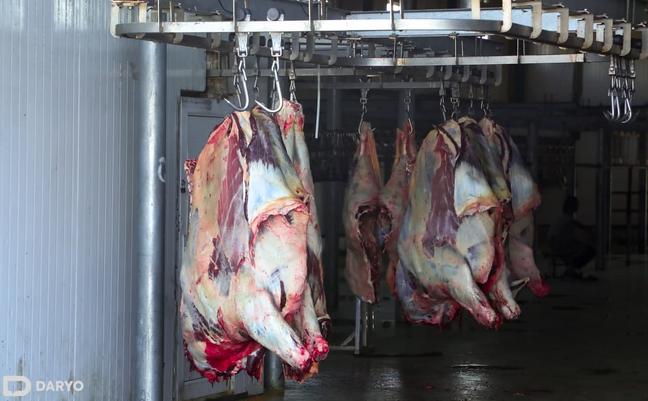 O‘zbekistonda o‘simlik yog‘i, go‘sht va kartoshka yana 4 oyga QQSdan ozod etilishi mumkin