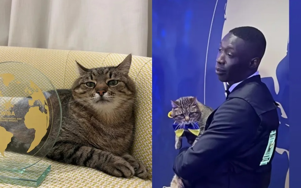 Rus porno video galereyasi Jinsiy aloqa rkski shukolovo