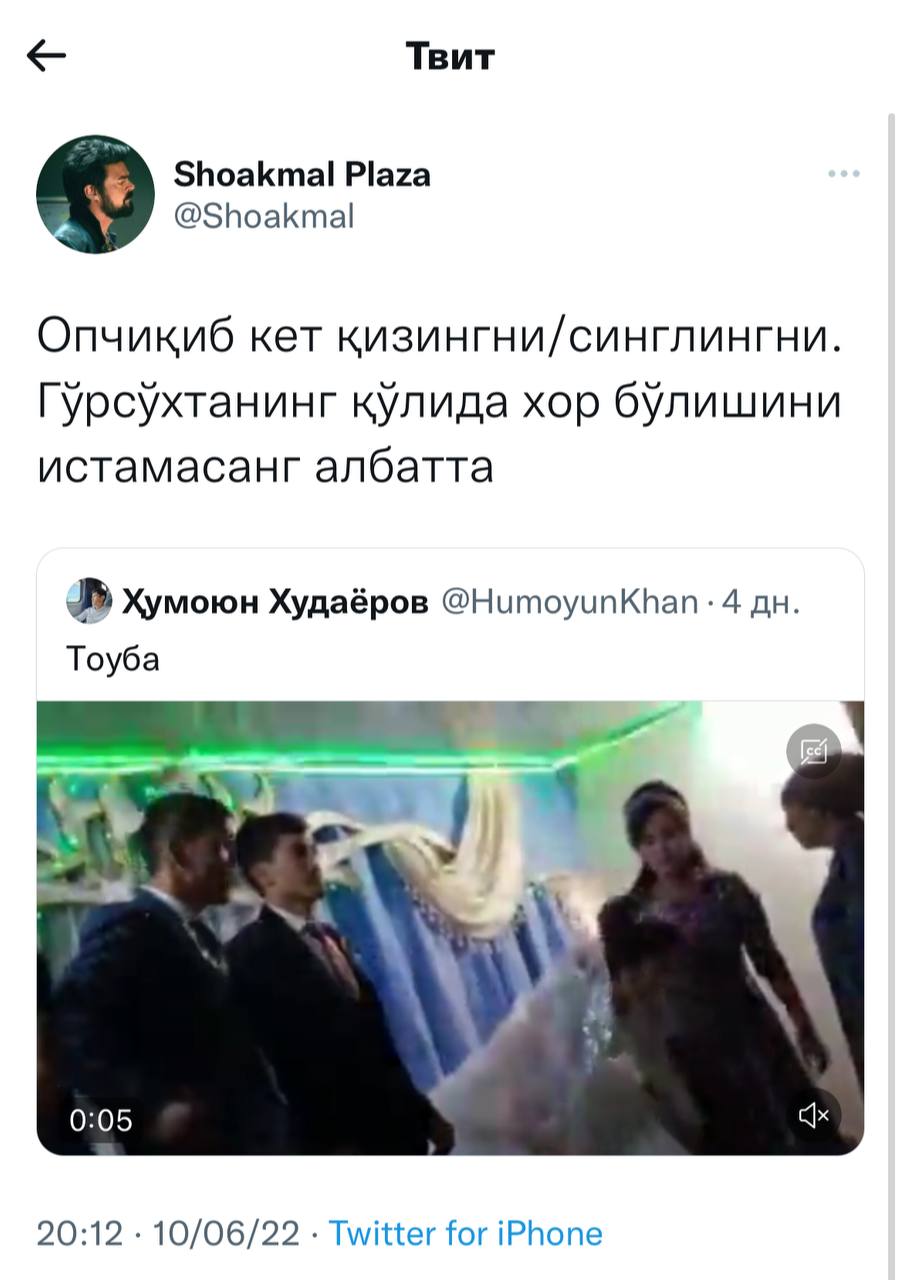 Dik va mushukning yaqindan surati