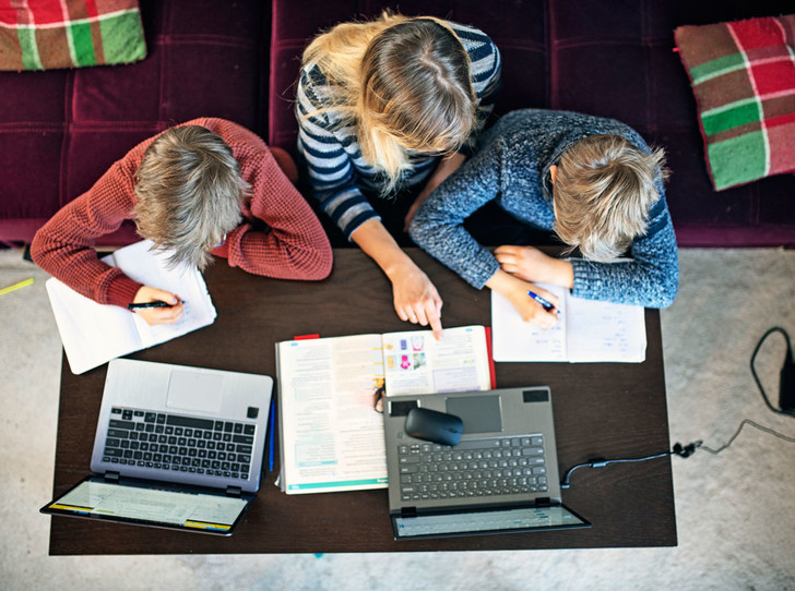 Qattiq qol va mushuk