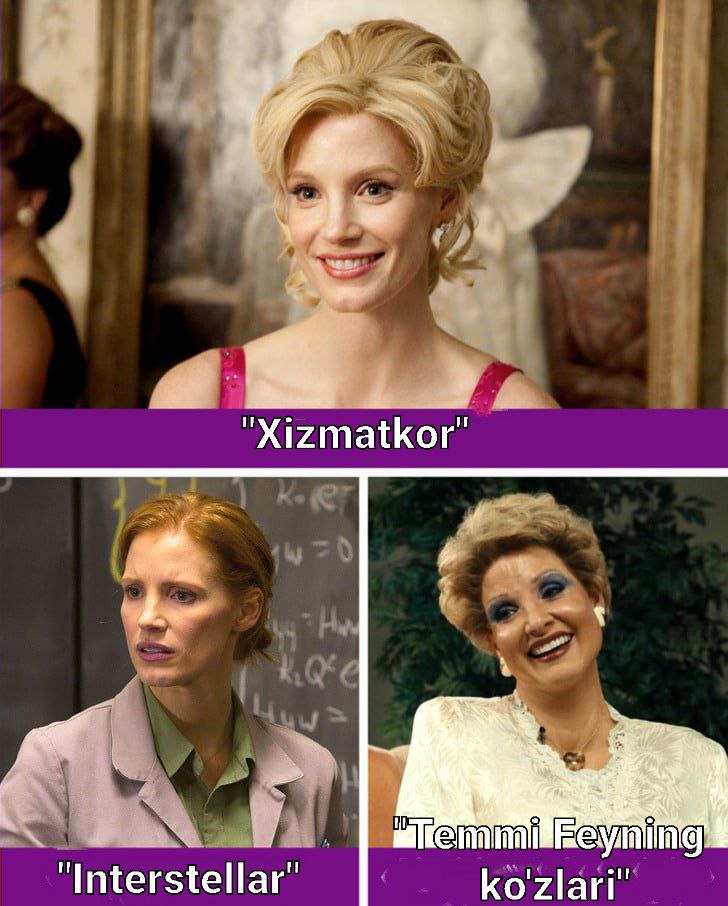 Kinglet mushuk nima?