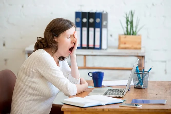 Semiz eshakni qamash