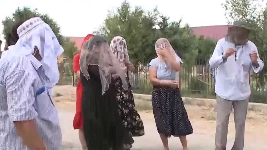 На юге Казахстана нашествие мошек &nbsp;