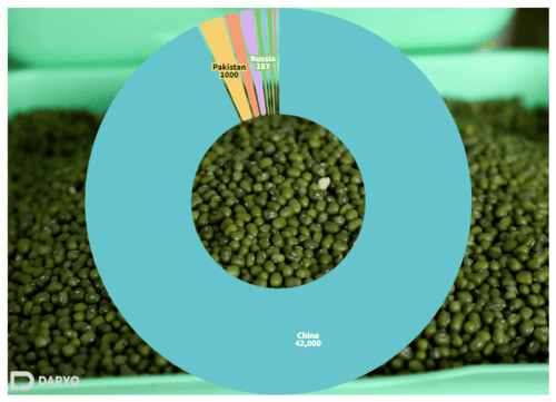 Uzbekistan's presence in the Chinese market grows through mung bean exports