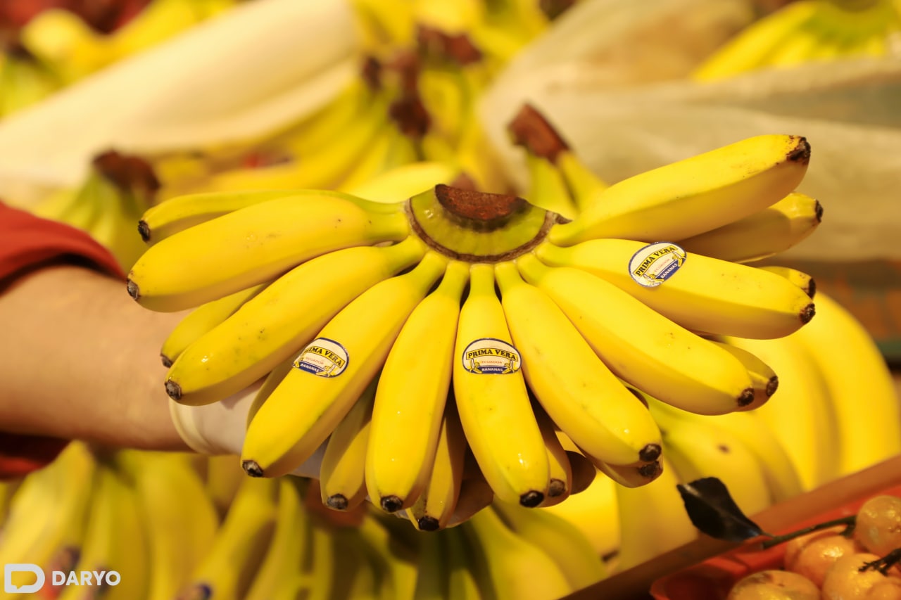 Eshak yaqindan bir fohisha sikdi