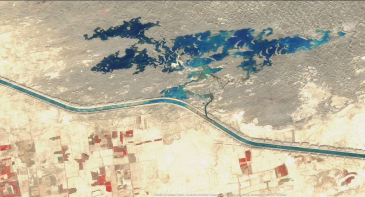 Mushukdan ogizga sperma tomchilari