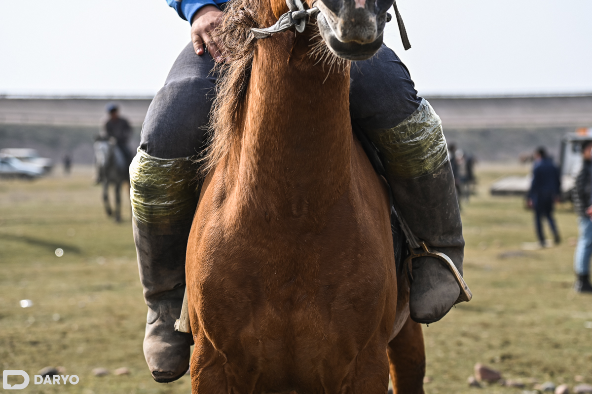 Yetuk ayollar va buvilar ortasidagi jinsiy aloqa