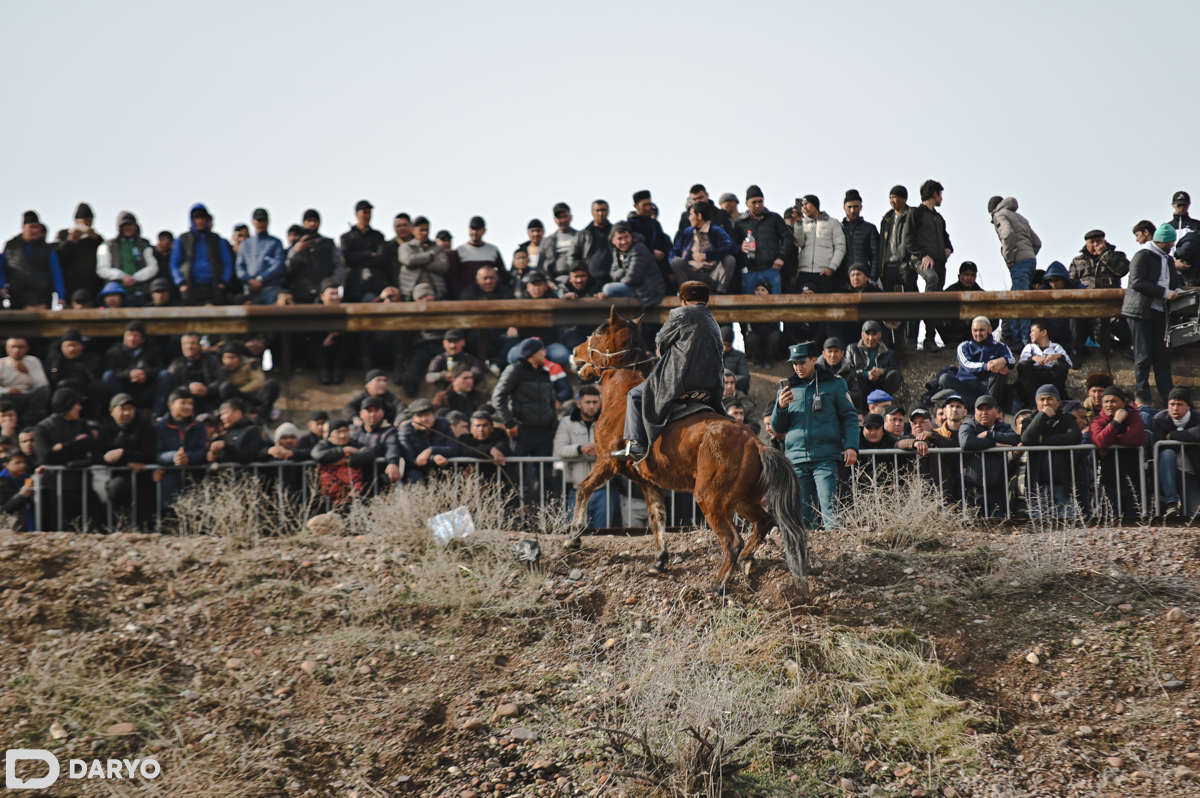 Oylik jinsiy aloqa video