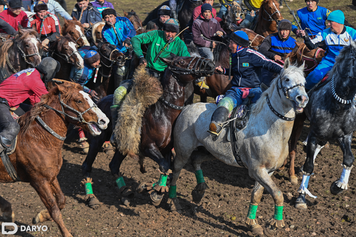 Ular qinga katta vaqt kiradi