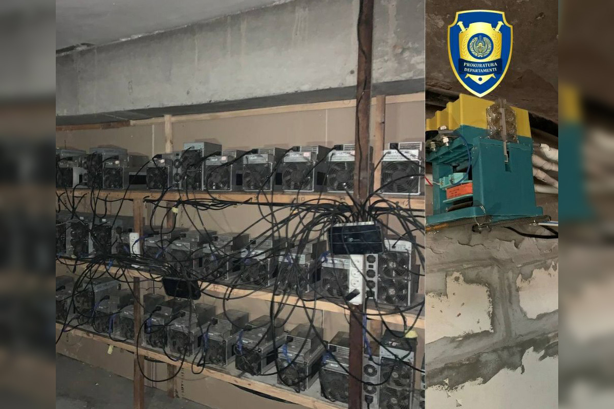 Officials uncover illegal crypto mine disguised as confectionery shop in  Uzbekistan