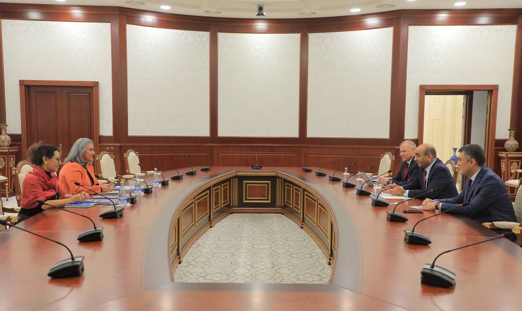 Uzbekistan MFA and WHO discuss development projects in Aral Sea region 