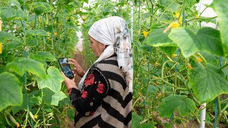 <p>FAO's Digital Villages Initiative transforms farming in Uzbekistan's Fergana Valley<b>&nbsp;</b></p>