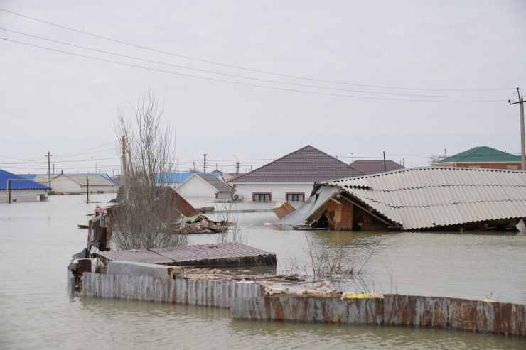 Endi Maki bilan, hushingizni yoqotmaguningizcha jinsiy aloqa, Maki Chandan Naugacha, piksellarsiz on