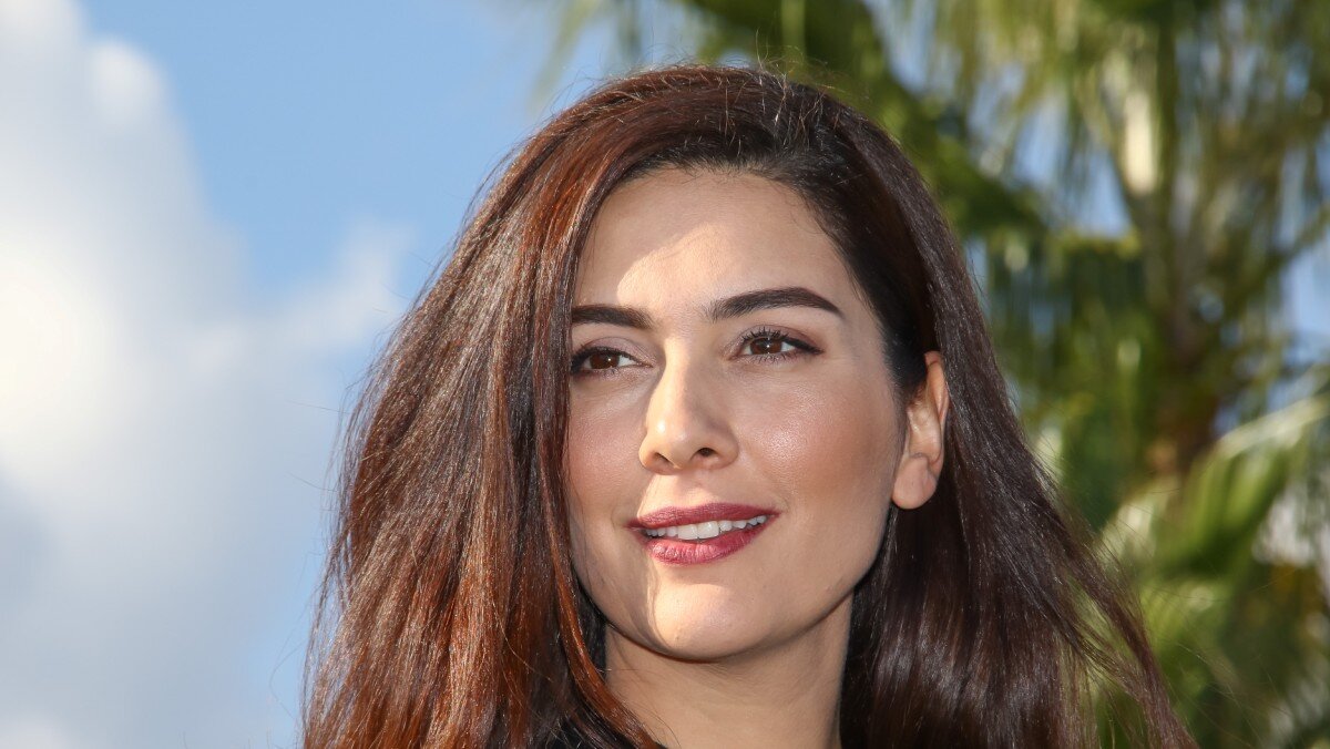 Yirtqich jinsiy aloqa haqida erotik video