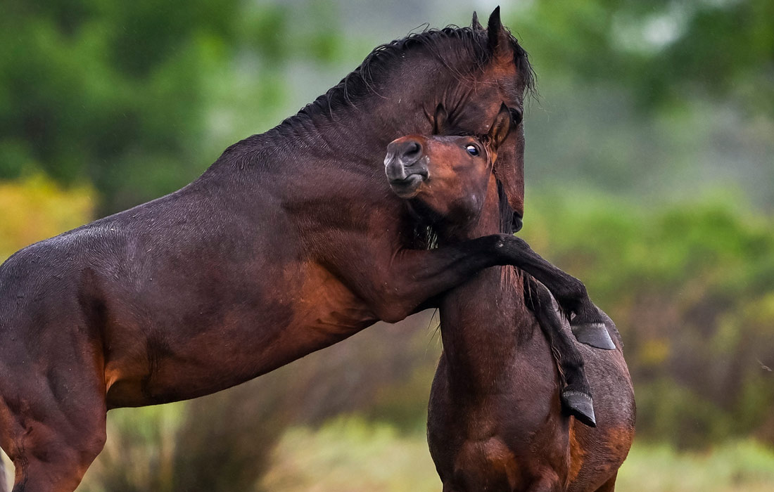 Qozoq ayol erini aldayapti. Yashirin kamera.