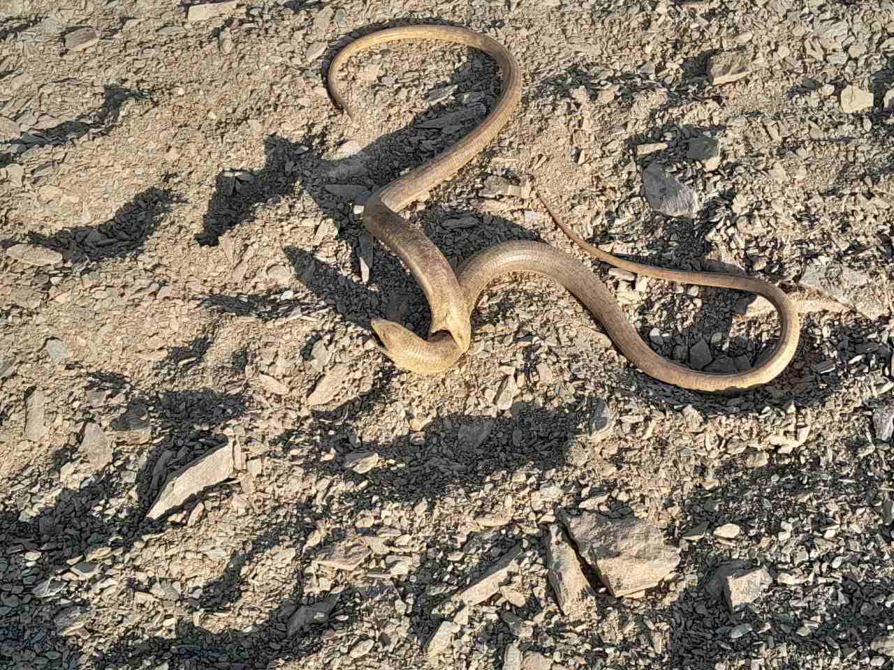 Masha Vasnetsovaning suratlari butunlay yalangoch Rus guruh seks video xxx