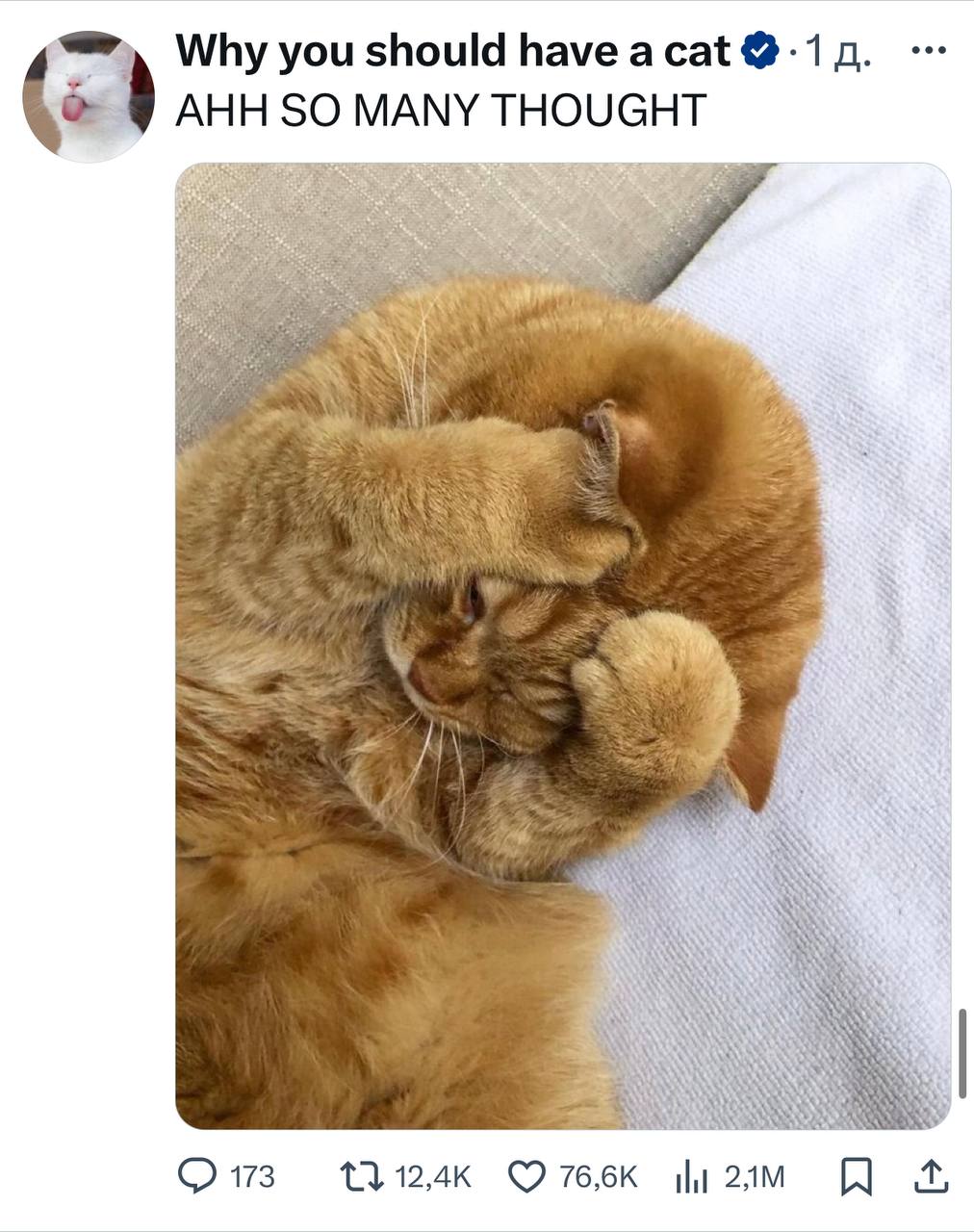 Angel Desert pornosini onlayn tomosha qiling