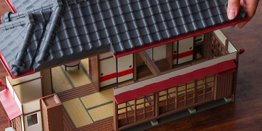 Silikon bilan mustahkamlangan mushuklarning fotosuratlari