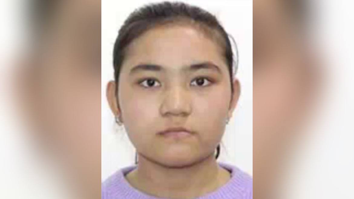 Mushuk filmlarda Dik