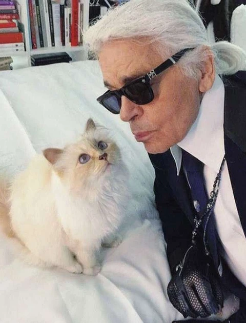 Harbiy royxatga olish va royxatga olish bolimida rus porno video Oy Bloodgudning kokraklari