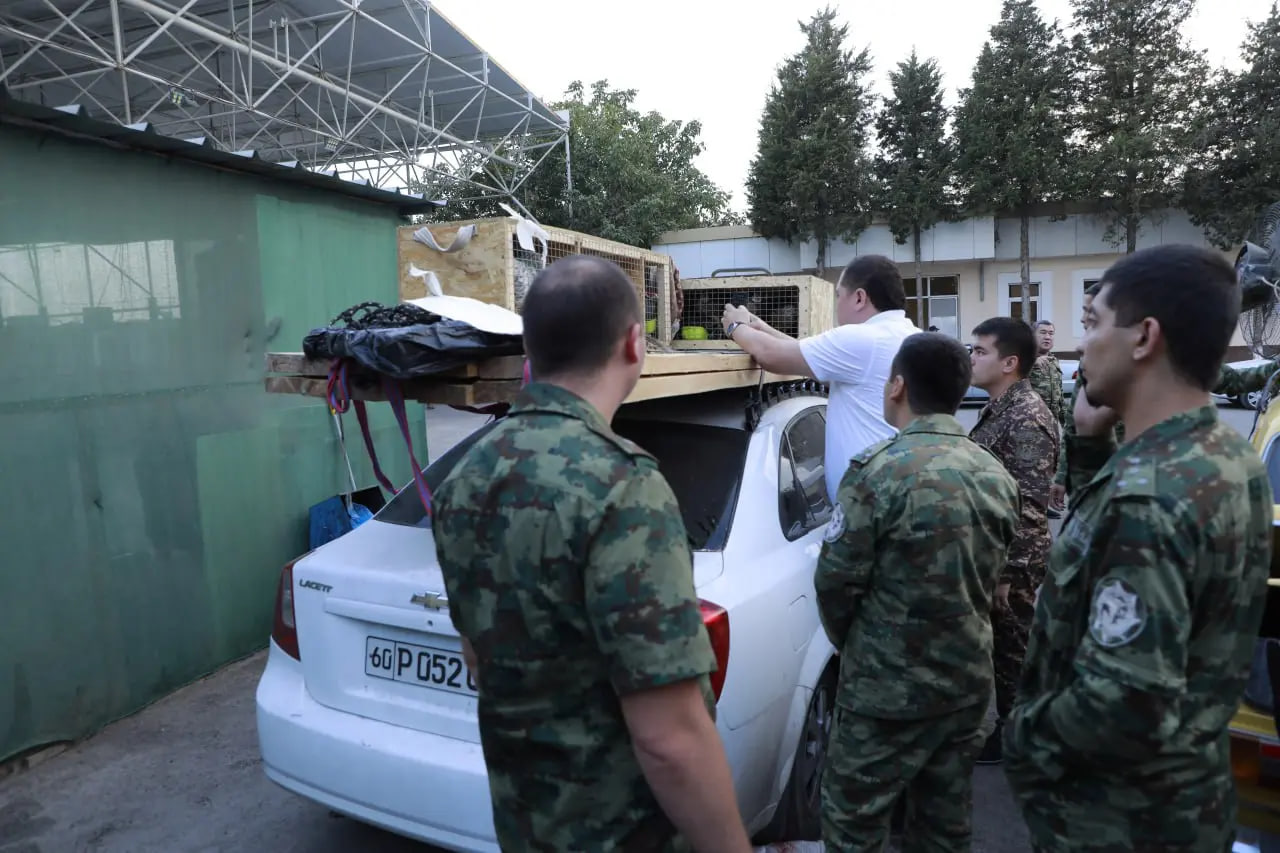 Bobrinetsda jinsiy aloqa Ayollar orgazmi video toplami