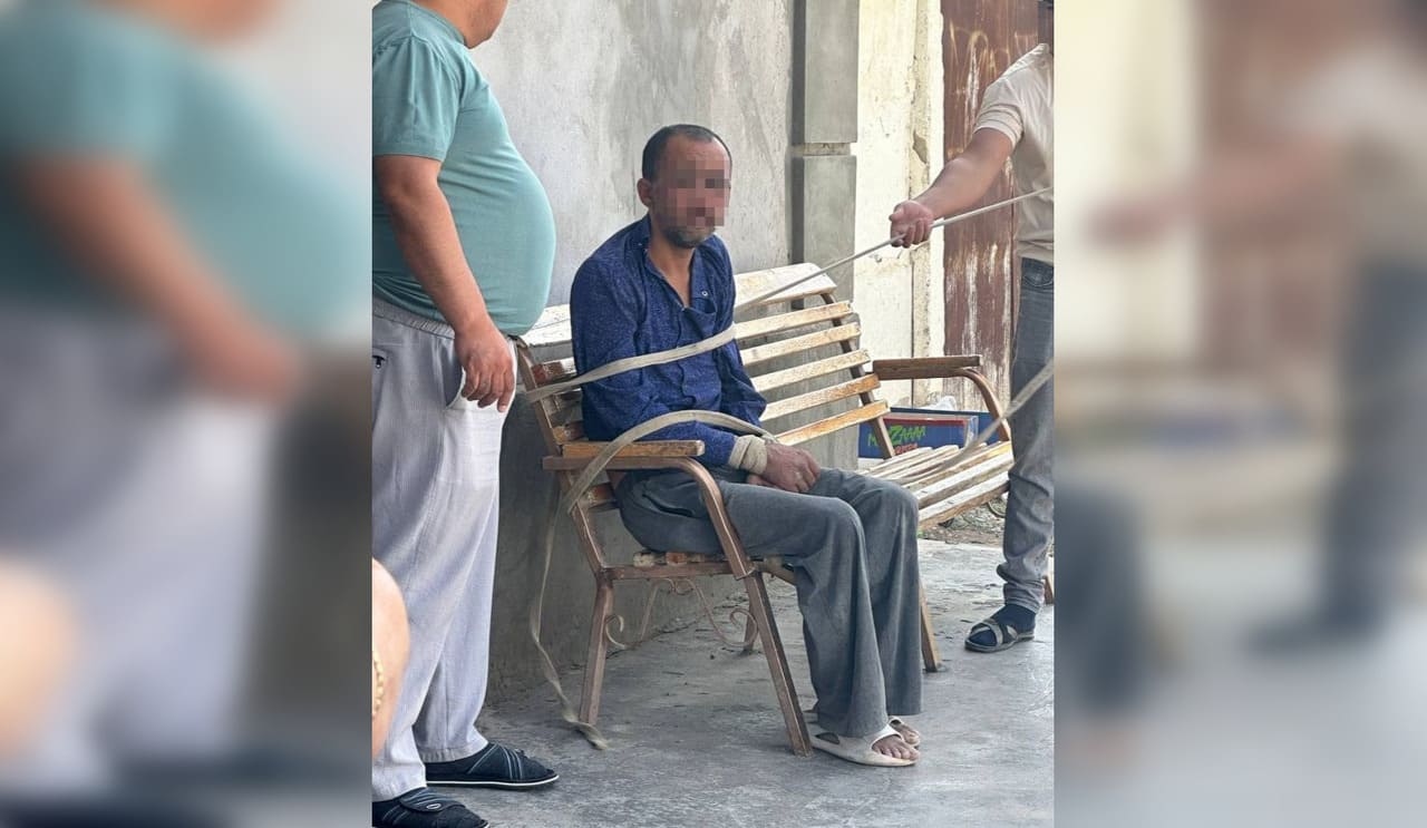 Eshakdagi tayoq fotosuratlarga tushadi