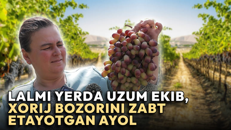 <p><b><strong>Yiliga 250 tonna uzum eksport qiladi, yozda kuniga 5 ming dona suv sotadi, qog&lsquo;ozni qayta ishlaydi: zarkentlik Gavhar Rizayeva bilan suhbat&nbsp;</strong></b></p>