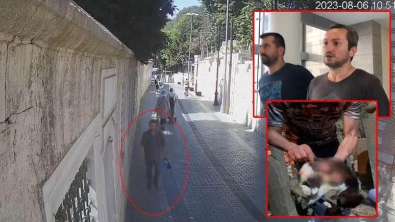 <p><b>Turkiyada mushuklarni o‘ldirgan erkak 8 yilga qamaldi</b></p>