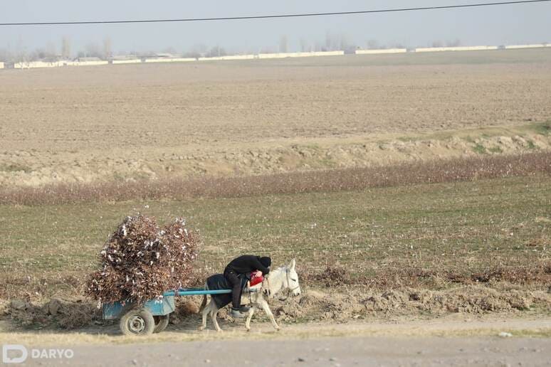 <p><b>Toshkent viloyatida qancha kambag‘al oila borligi ma’lum qilindi</b></p>