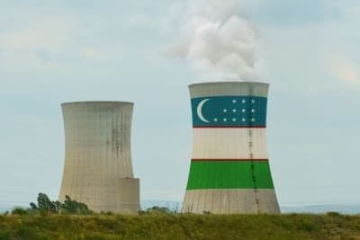 <p><b>"Nuclear power is a strategic investment for Uzbekistan,&rdquo; declares Uzbek Official</b></p>