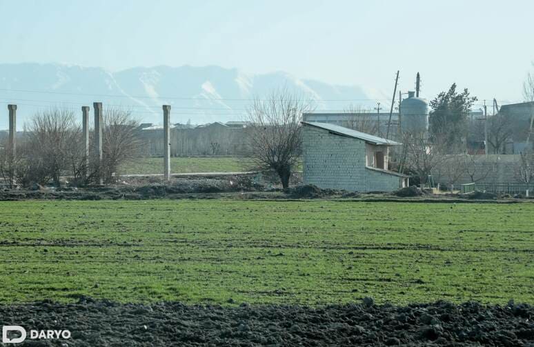 <p><b></b>Tadqiqot: O‘zbekistonda 1 gektar yer narxi auksion savdolarida 102 million so‘mga arzonlashgan</p>