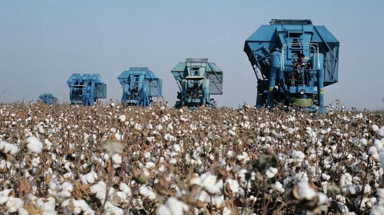 Tajikistan harvests over 163,000 tons of cotton
