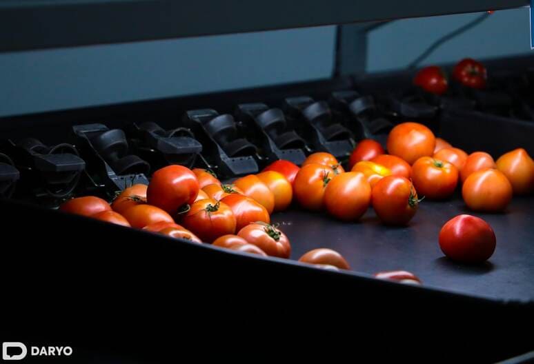 Астана ожидает, что ограничения на ввоз казахстанской продукции в Россию будут сняты в течение недели&nbsp;