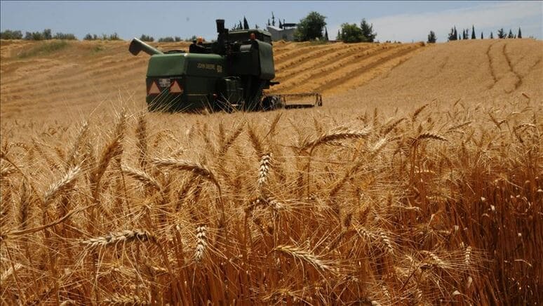 Kazakhstan's grain sector grows 40% y/y, handling over 2.2mn tons 