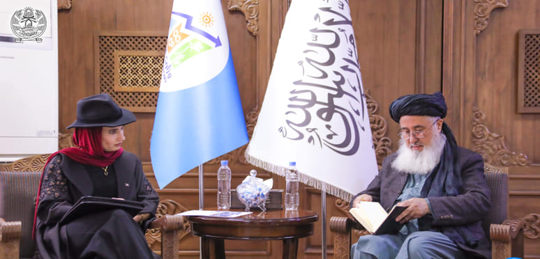 EU pledges $100mn to support humanitarian aid and agriculture in Afghanistan&nbsp;
